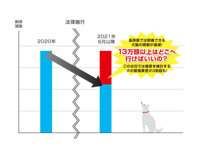 改正動物愛護法 の数値規制に関する意見 犬猫適正飼養推進協議会